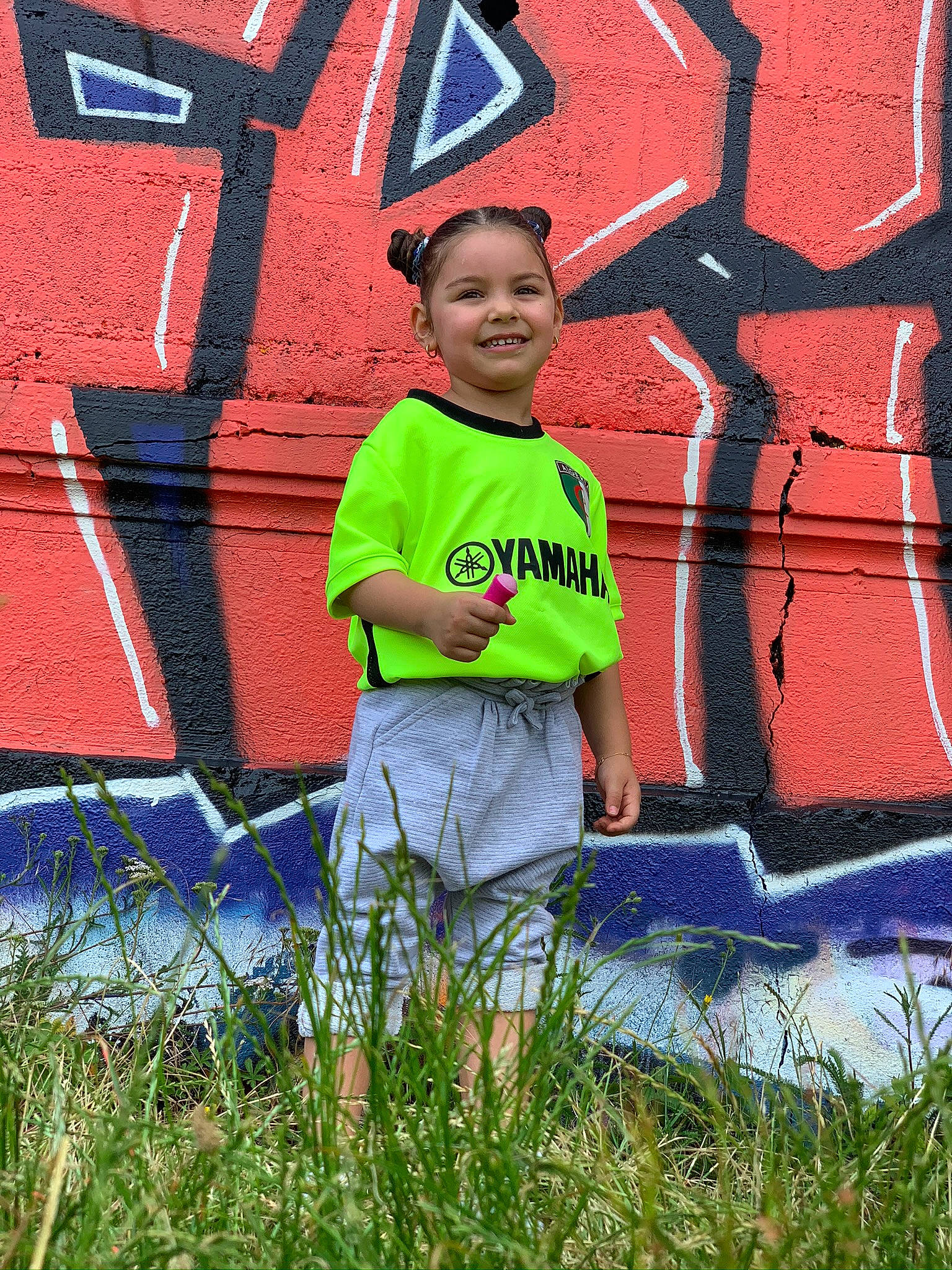 Alyah participe au concours pour gagner de l'argent avec cette photo : brick, brickwork, cool, graffiti, grass_family, joy, mural, paint, person, red, street_art