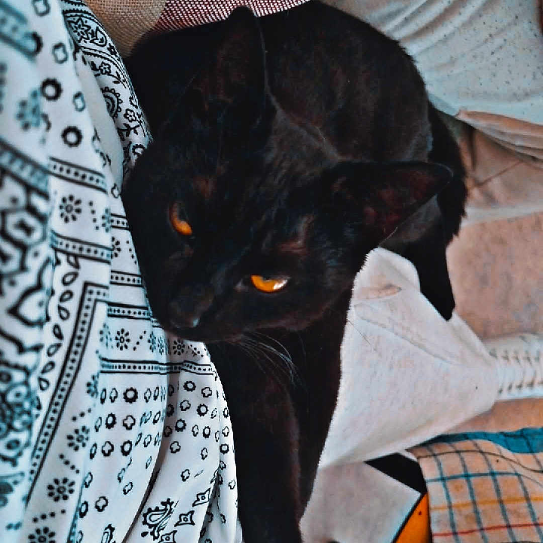 Nezuko