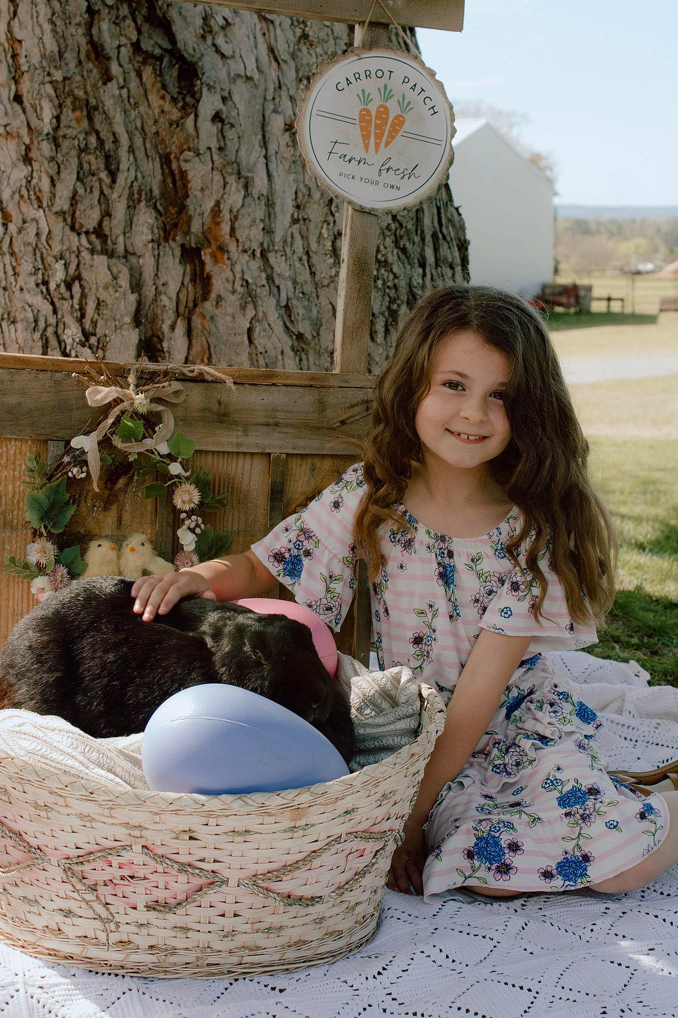 Elaina is registered to the contest to win money with this photo: basket, child, egg, fun, grass, happy, joy, leisure, mammal, pattern, people, person, plant, sitting, smile, t_shirt, tableware, textile, toddler, tree