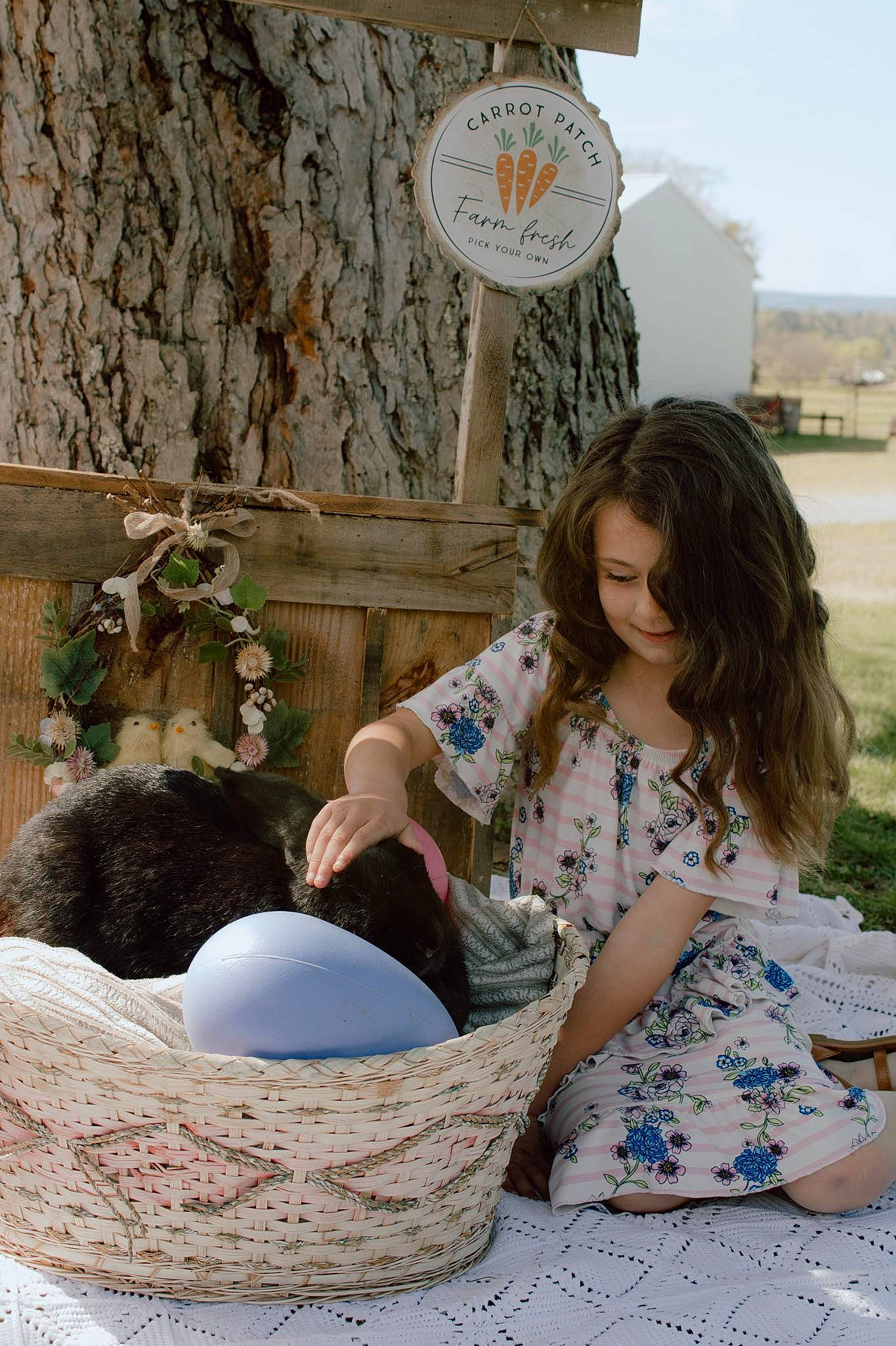 Elaina joined the competition — help win amazing prizes! basket, beauty, bird_nest, child, easter, easter_egg, egg, floral_design, fun, grass, joy, leisure, pattern, person, plant, sitting, sky, t_shirt, vacation, wicker