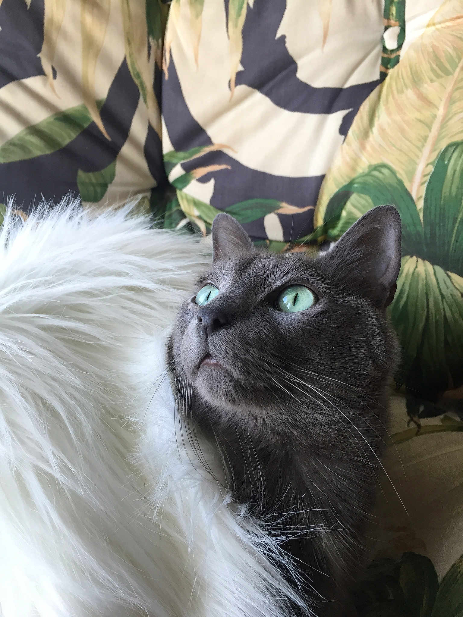 Java