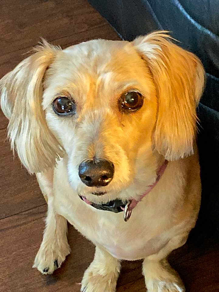 Lexi