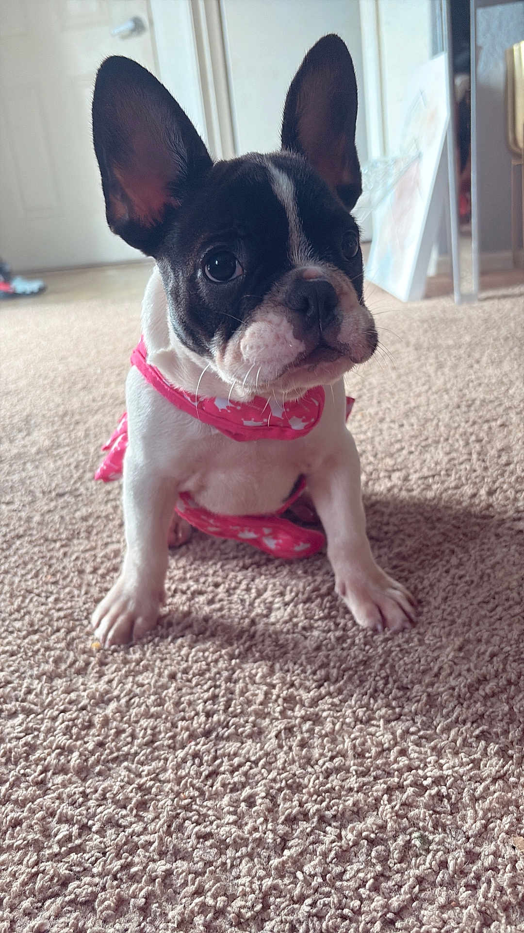 Zoey