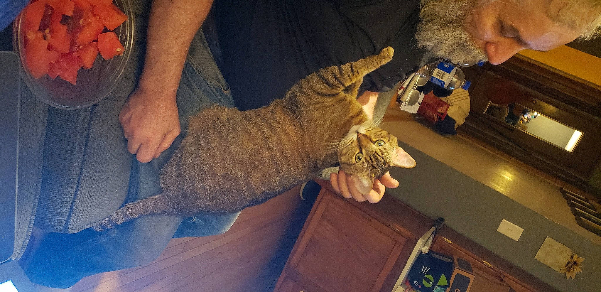 Duncan joined the competition — help win amazing prizes! alligator, elbow, finger, flesh, flooring, foot, fun, fur, gesture, glove, human_leg, knee, nail, pattern, room, safety_glove, thigh, thumb, wood, wrist