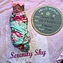 newborn, baby, blanket, pink, bow, floral, swaddle, sleeping, birth_announcement, wooden_board, text, soft_texture, infant, cute, portrait, lying_down, baby_clothing, fabric, bedroom, decor