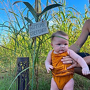 Autumn joined the competition — help win amazing prizes! adult_hand, autumn_greetings, baby, blue_sky, child, corn, field, grass, greenery, infant, nature, orange_clothing, outdoor, person, plant, portrait, seasonal, sign, summer, sunlight
