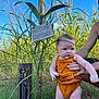 adult_hand, autumn_greetings, baby, blue_sky, child, corn, field, grass, greenery, infant, nature, orange_clothing, outdoor, person, plant, portrait, seasonal, sign, summer, sunlight