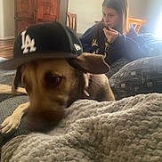 Chanel is registered to the contest to win money with this photo: dog, cap, person, girl, indoor, couch, blanket, wooden_furniture, sweatshirt, brown_dog, living_room, blurred, hat, seated, casual, home, relaxed, furniture, light, cozy