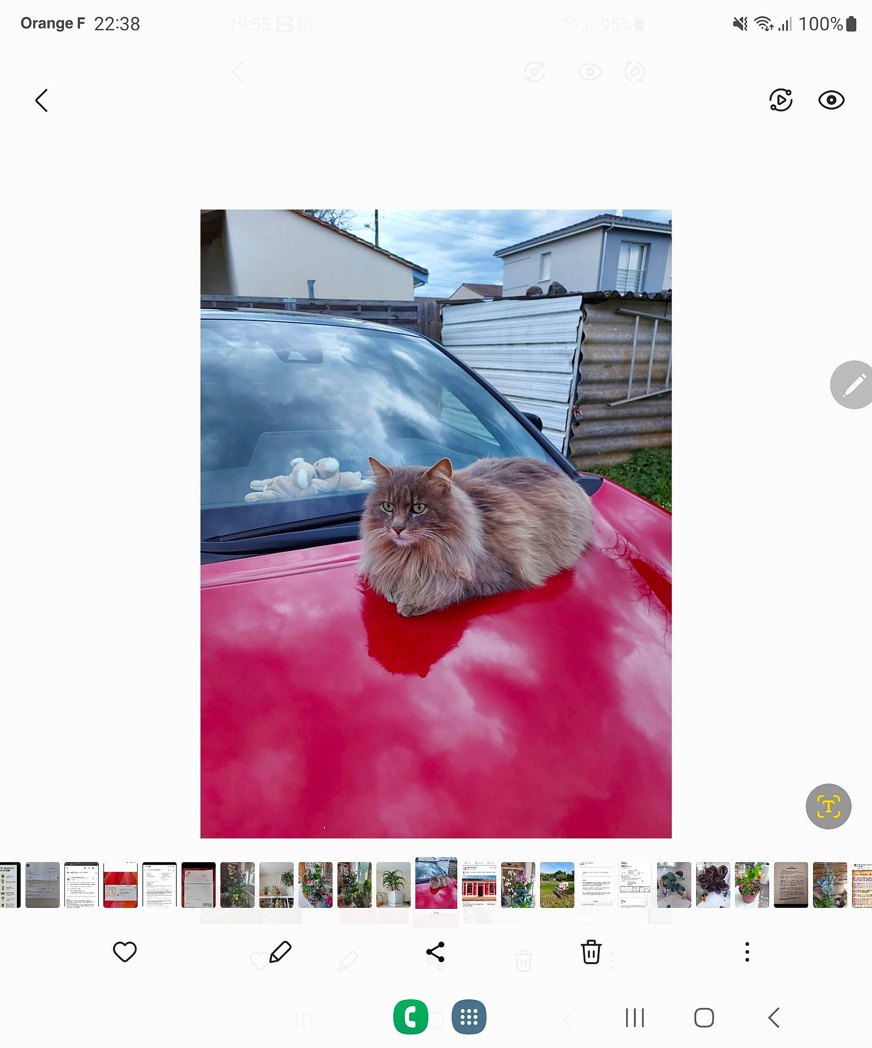 Charly participe au concours pour gagner de l'argent avec cette photo : automotive_lighting, calendar, car, cat, computer, felidae, font, fur, graphics_software, illustration, multimedia, multimedia_software, photo_caption, rectangle, screenshot, small_to_medium_sized_cats, software, technology, web_page, whiskers