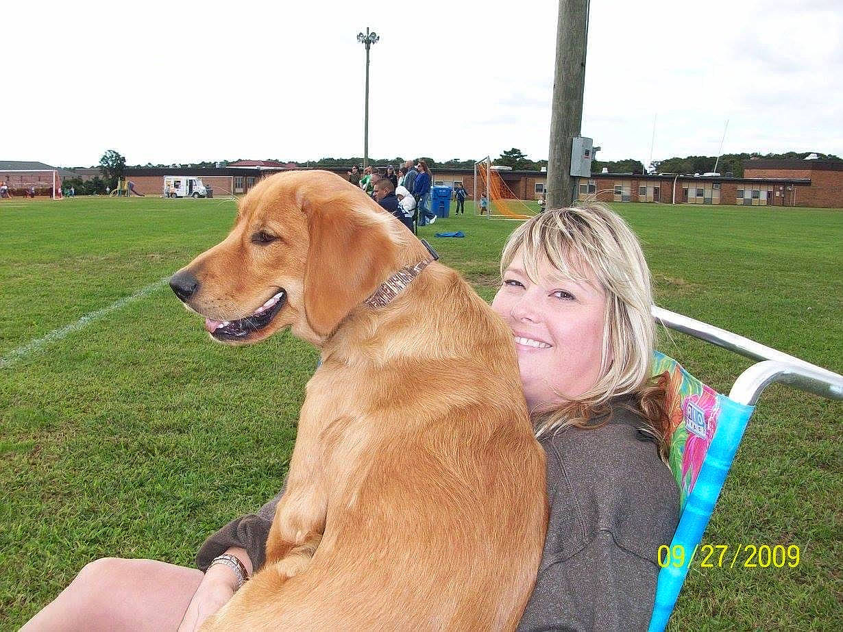 Puxi joined the competition — help win amazing prizes! carnivore, chair, cloud, collar, companion_dog, dog, dog_breed, dog_collar, fawn, grass, gun_dog, happy, hound, leash, leisure, liver, sky, smile, sporting_group, working_animal