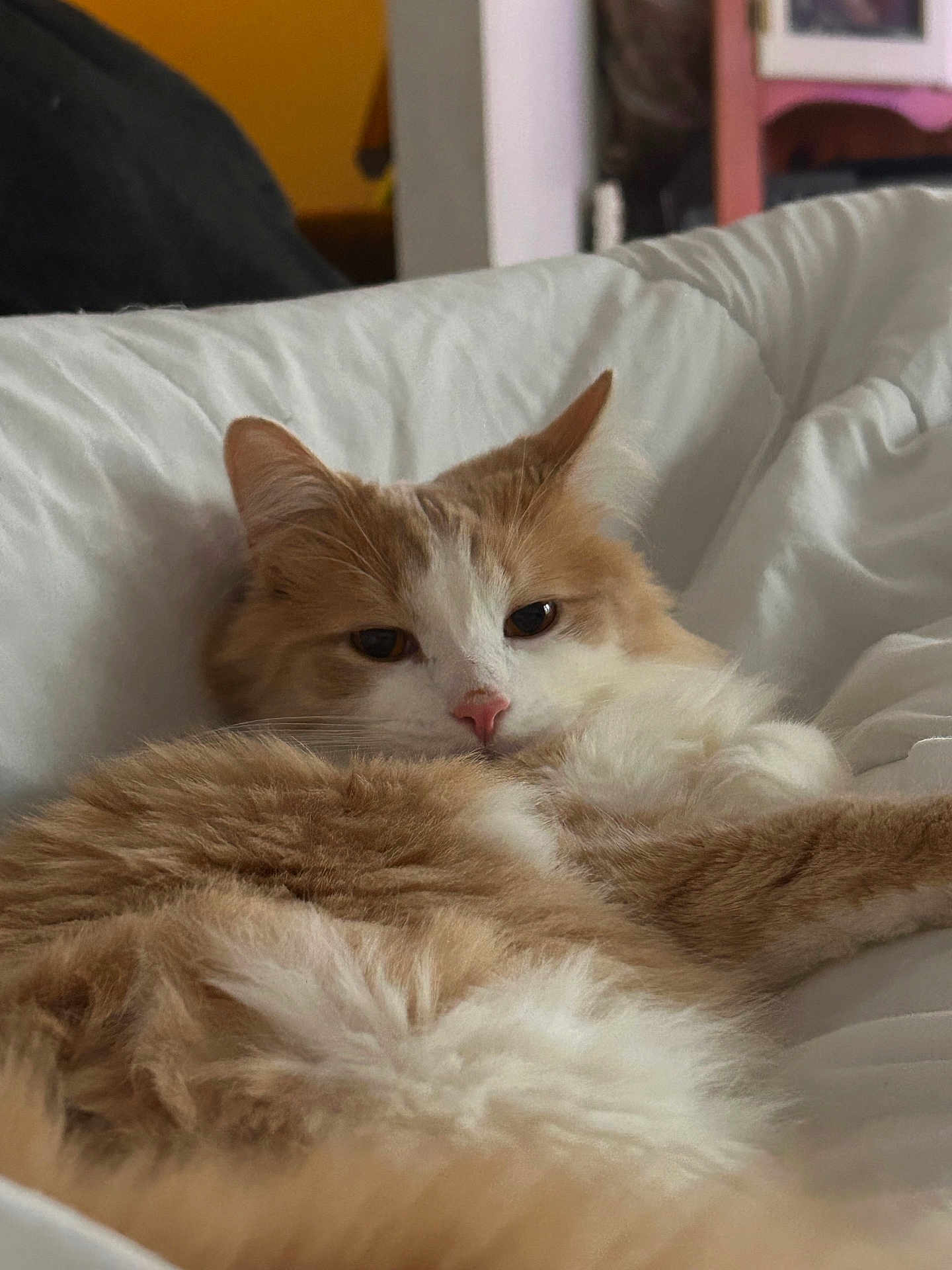 Duncan