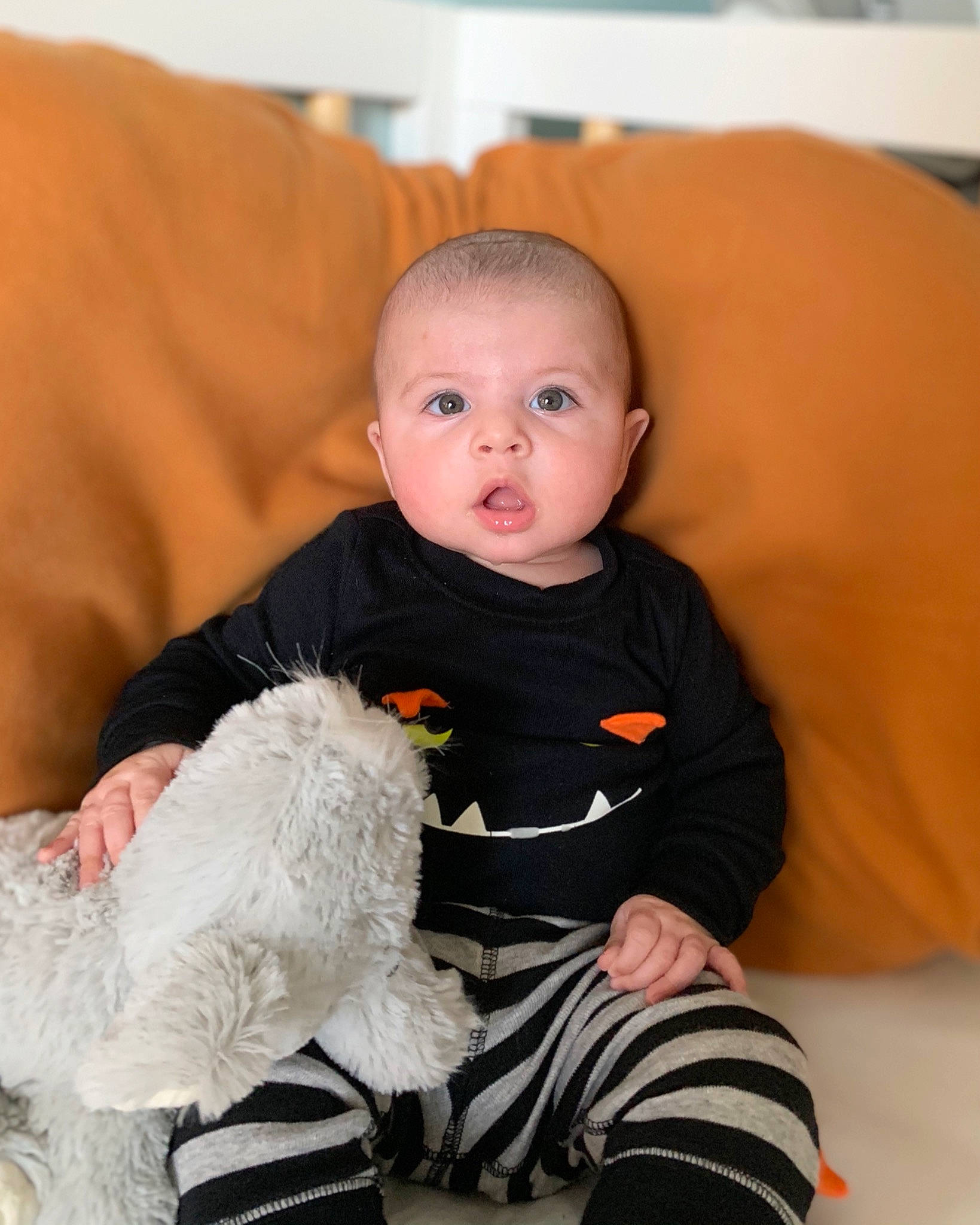 Khalid a rejoint le concours — aidez-le/la à gagner de superbes lots ! baby, baby_toddler_clothing, brown, cheek, comfort, dog, ear, mouth, nose, person, sock, toddler, toy_dog