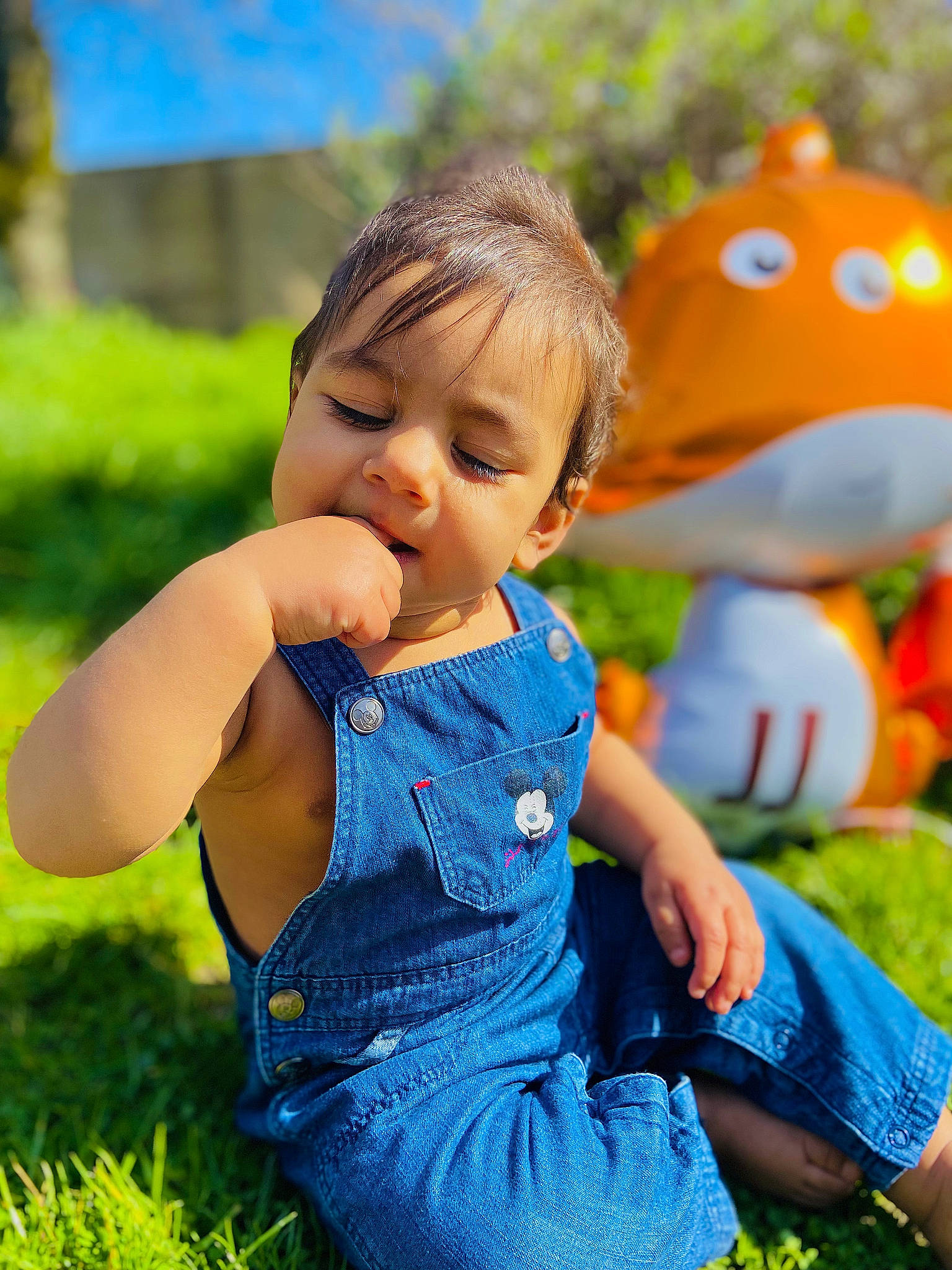 Owen a rejoint le concours — aidez-le/la à gagner de superbes lots ! baby_toddler_clothing, blue, child, dress, electric_blue, fun, grass, happy, head, lawn, leisure, people_in_nature, person, photograph, plant, sitting, skin, summer, toddler, toy