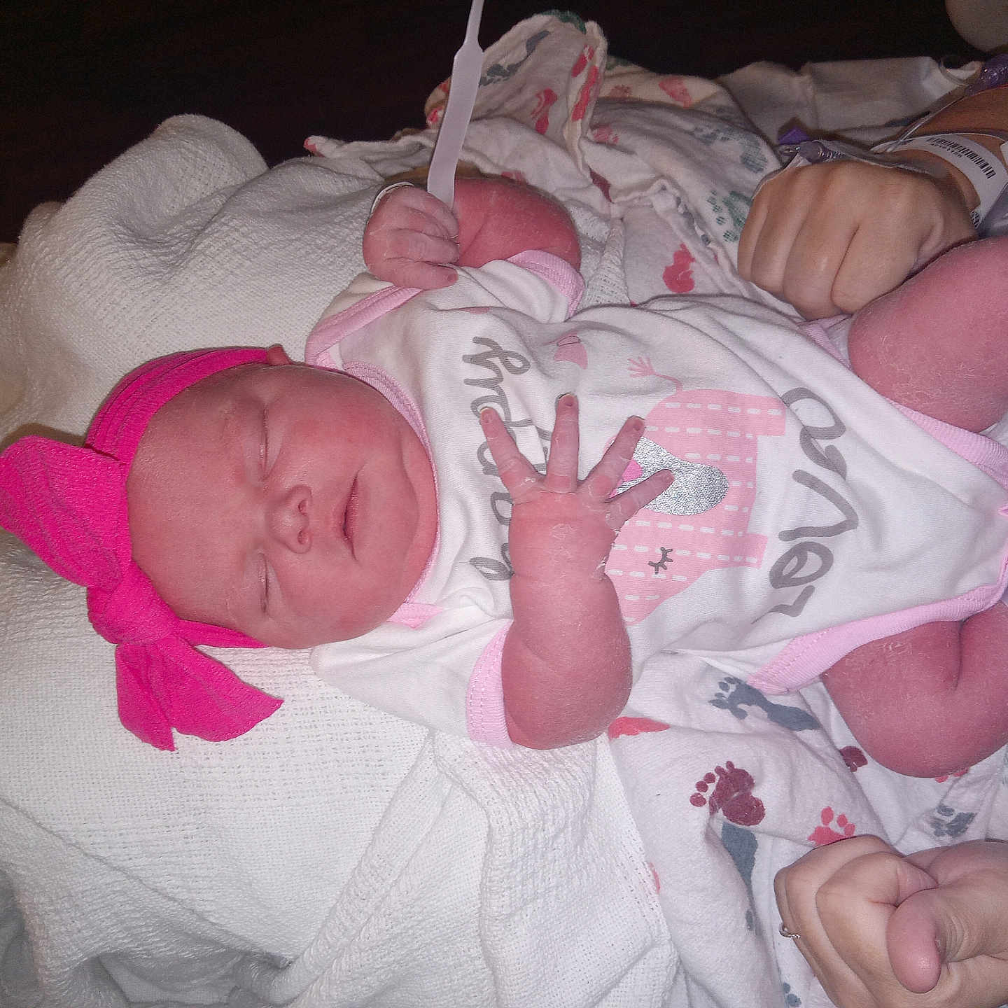 Bella joined the competition — help win amazing prizes! newborn, baby, infant, sleeping, blanket, hospital, hospital_wristband, onesie, pink_headband, hand, adult_hand, plastic_spoon, bed, cozy, cute, soft, resting, human, skin, care