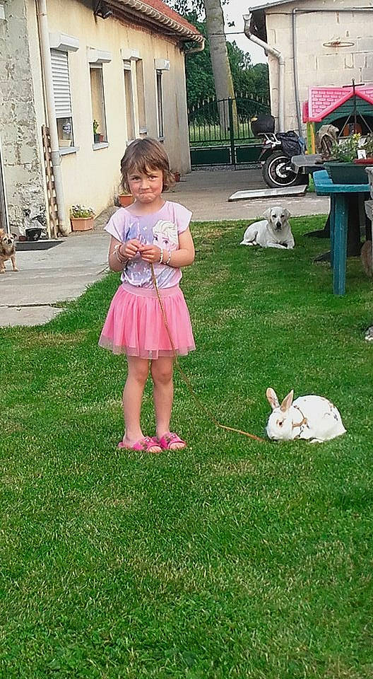 Monbelyard a rejoint le concours — aidez-le/la à gagner de superbes lots ! backyard, child, clothing, costume, dress, fawn, garden, grass, lawn, pink, plant, summer, yard