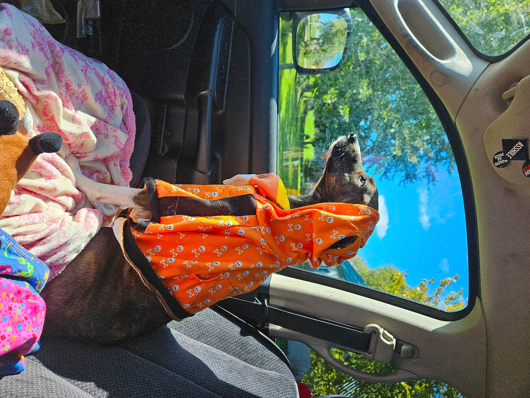 Ruger is registered to the contest to win money with this photo: auto_part, automotive_design, automotive_exterior, automotive_mirror, automotive_window_part, car, glass, green, helmet, land_vehicle, leisure, motor_vehicle, personal_protective_equipment, steering_wheel, travel, tree, vehicle, vehicle_door, window, windshield