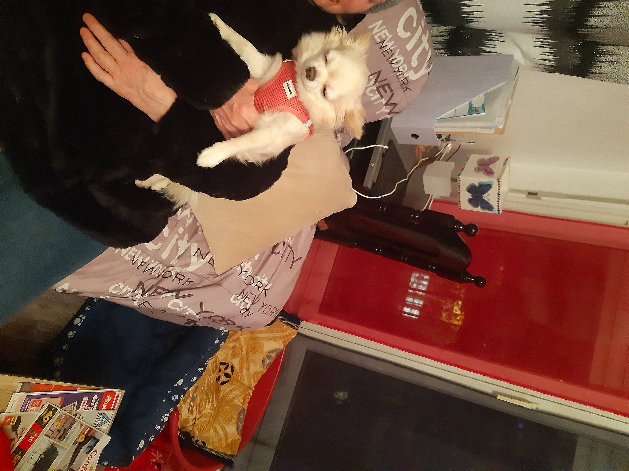 Toha a rejoint le concours — aidez-le/la à gagner de superbes lots ! art, carmine, entertainment, event, fashion_design, flesh, fun, office_equipment, performing_arts, room, vehicle_door, vintage_clothing