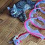 cat, tabby_cat, tabby, pet, toy, hardwood_floor, floor, indoor, striped, collar, relaxed, lying_down, curious, play_toy, pink_ribbon, mesh_tunnel, paw, ears, eyes, wooden_planks