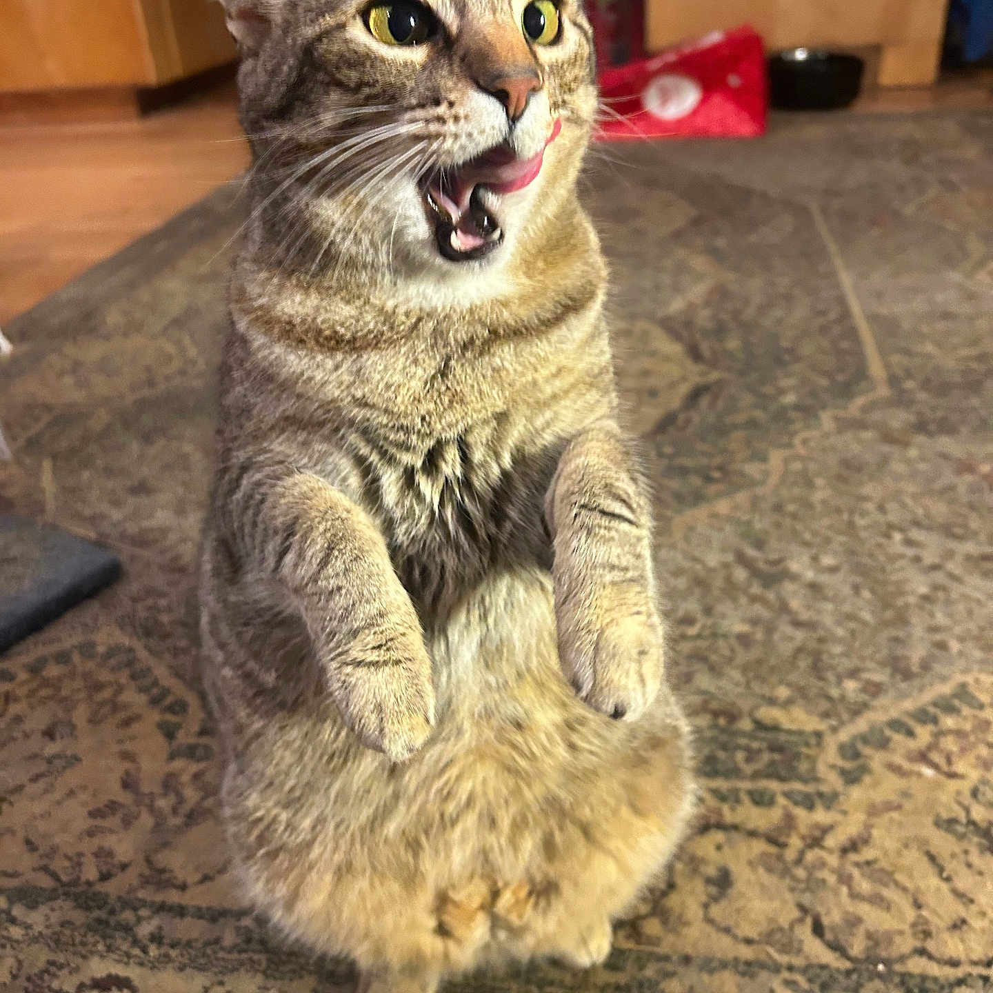 Sweetie