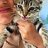 Tiki is registered to the contest to win money with this photo: kitten, cat, person, face, hand, smile, tongue_out, necklace, cross, tank_top, indoor, close_up, cute, pet, feline, striped, young_cat, happy, affection, holding