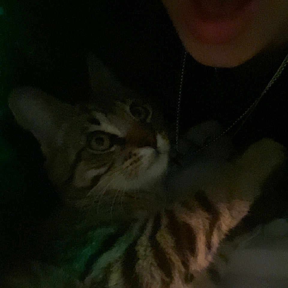 Tiki