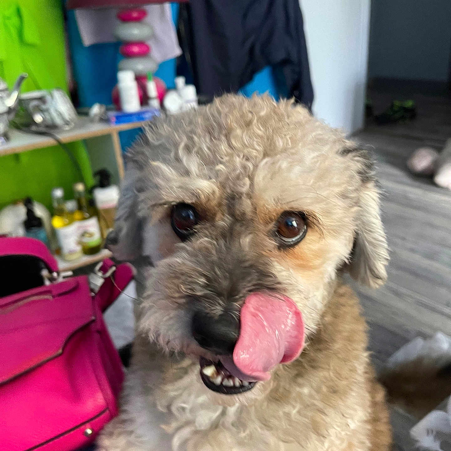 Rockie