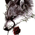 Clarisse S.