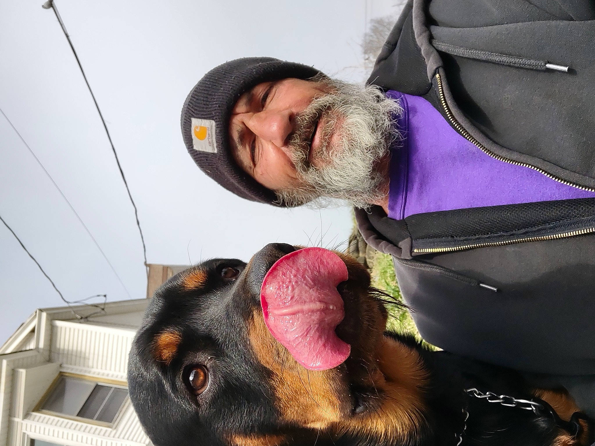 Bruno joined the competition — help win amazing prizes! auto_part, beard, cap, carnivore, companion_dog, dog_breed, eyewear, fashion_accessory, fawn, felidae, fur, hat, liver, paw, personal_protective_equipment, selfie, small_to_medium_sized_cats, sunglasses, tail, whiskers