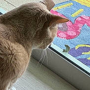 Itty Bitty joined the competition — help win amazing prizes! animal_interaction, cat, close_up, colorful, curious, doormat, ears, feline, floor, glass_door, indoor, lizard, natural_light, observation, outdoor, pet, reptile, whiskers, wildlife, window