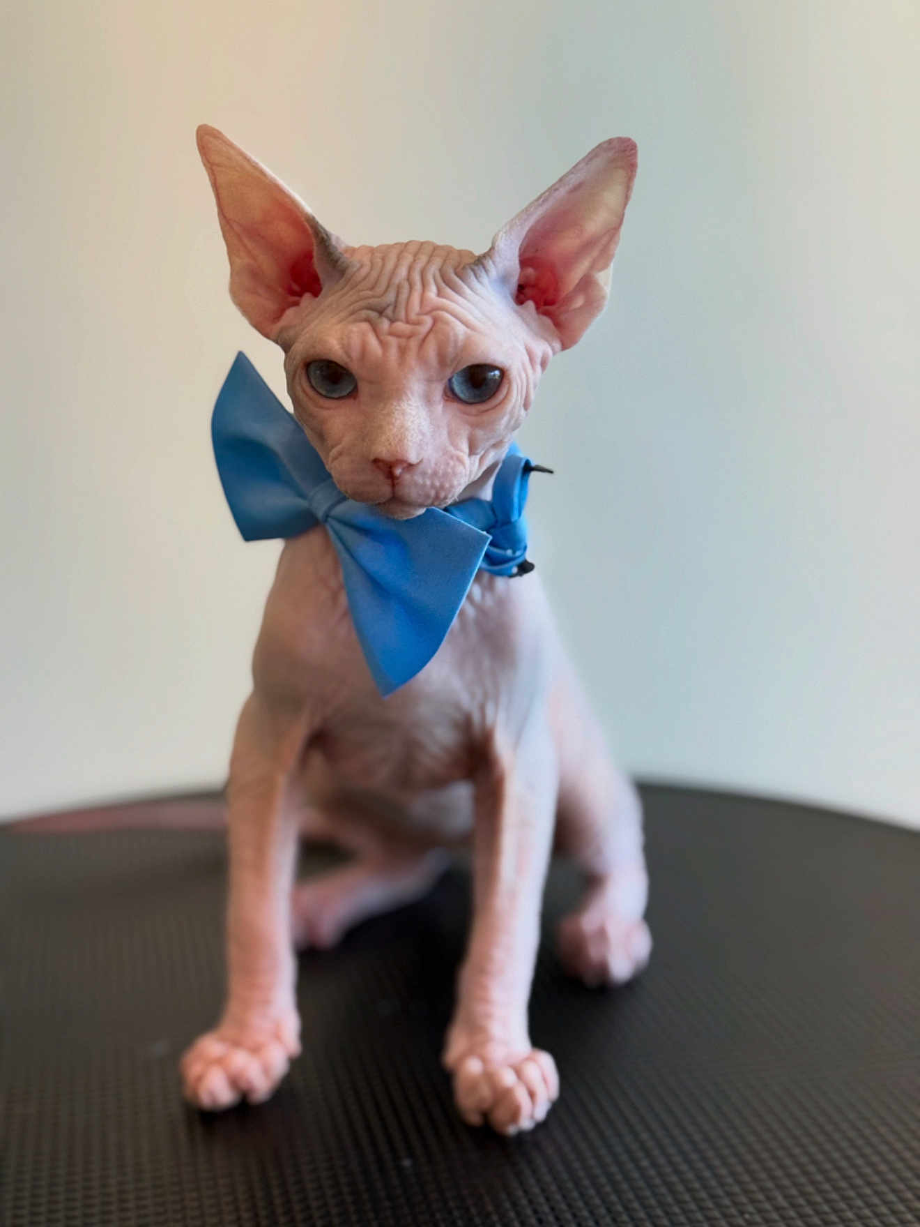 Yoda