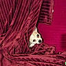 dog, blanket, red, cozy, peeking, toy, plush, indoor, cute, pet, fur, curious, comfort, resting, small_dog, fabric, texture, relaxed, home, animal