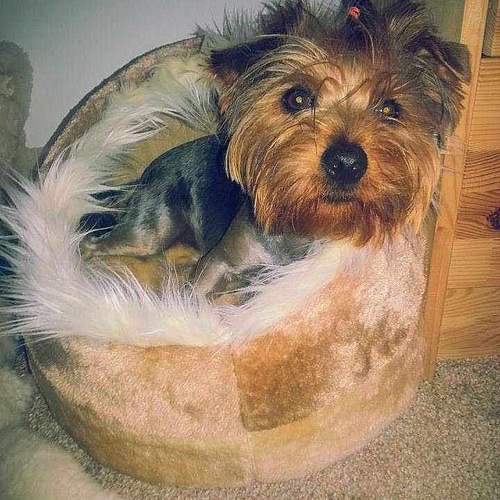 Chiquita is registered to the contest to win money with this photo: