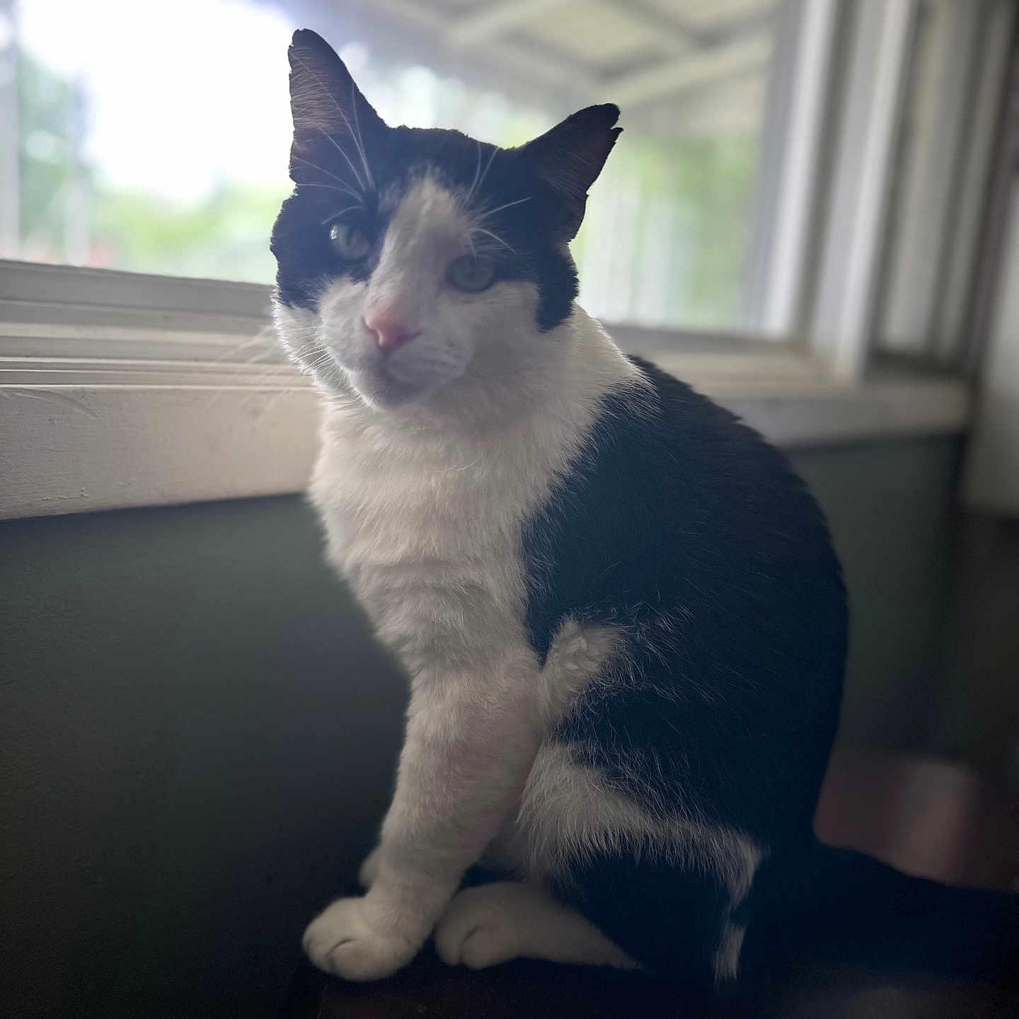 Jinx