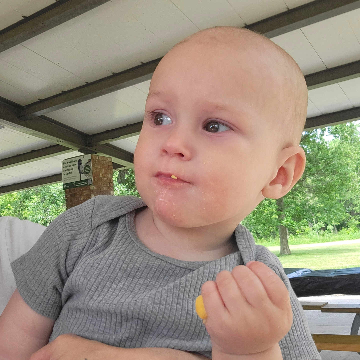 Wyatt