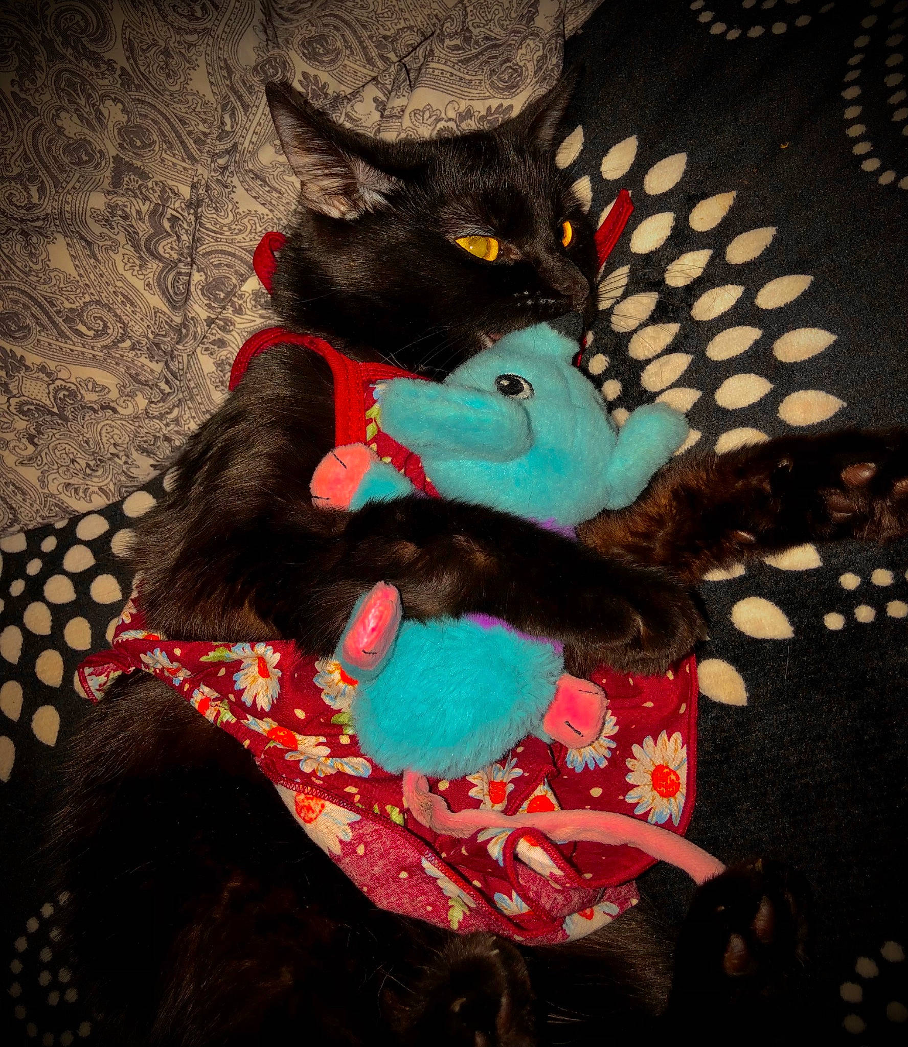 Oscar joined the competition — help win amazing prizes! art, black_cat, black_hair, carnivore, comfort, companion_dog, dog_breed, fawn, felidae, fictional_character, fur, pattern, plush, small_to_medium_sized_cats, stuffed_toy, tail, tints_and_shades, toy, visual_arts, whiskers