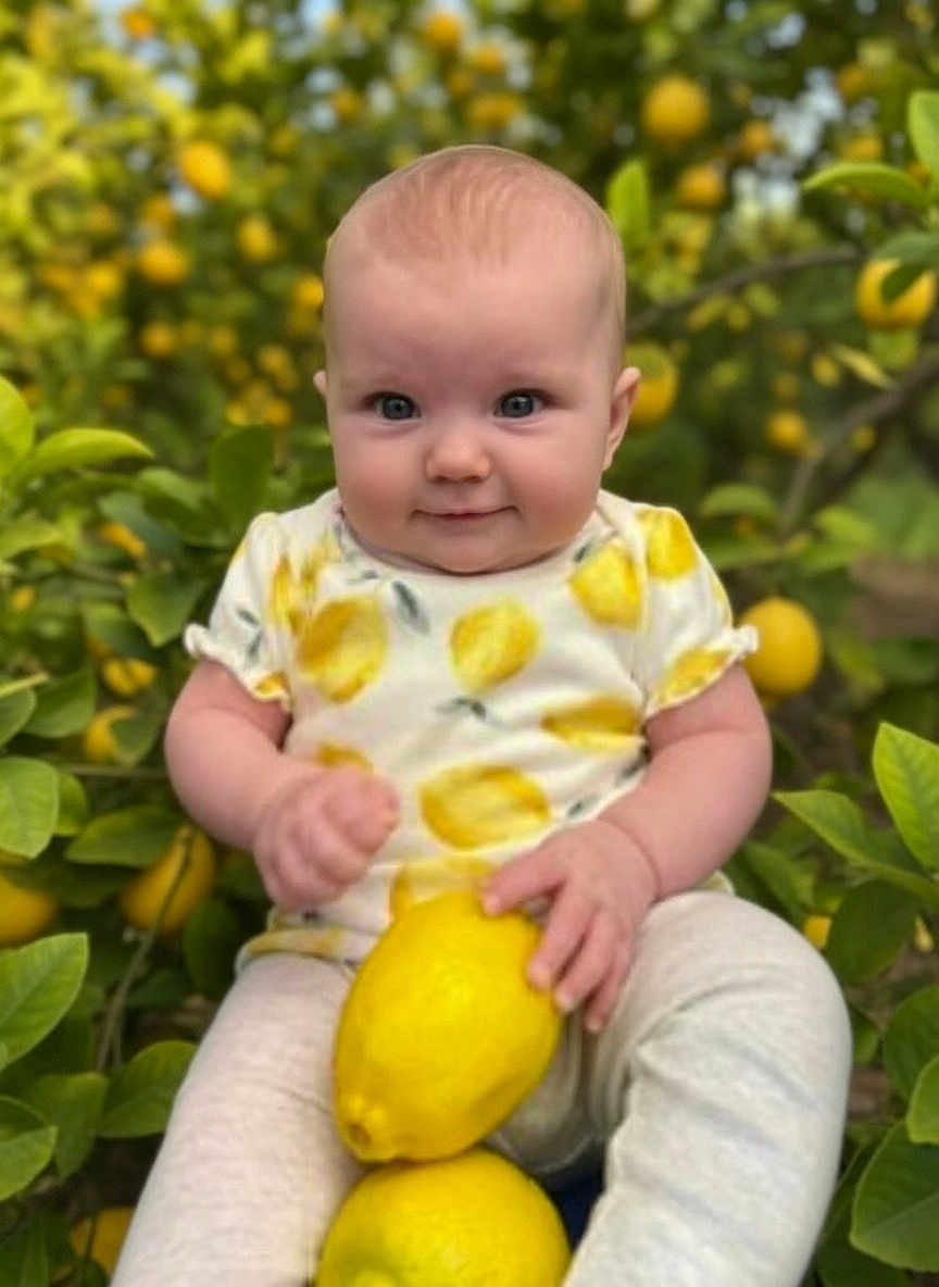 Amelia is registered to the contest to win money with this photo: baby, child, lemon, fruit, lemon_tree, outdoor, greenery, smiling, cute, infant, nature, plants, yellow, holding, sitting, face, person, clothing, short_sleeves, playful