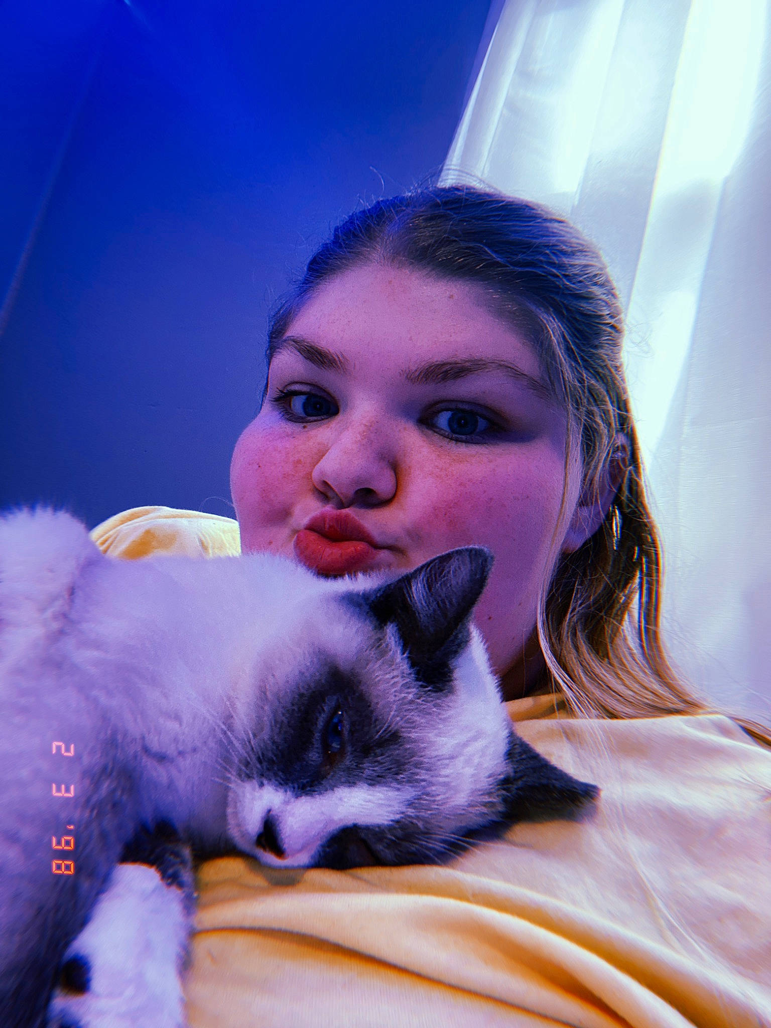 Finn is registered to the contest to win money with this photo: carnivore, cat, eye, fawn, felidae, fur, human, kitten, nose, purple, skin, small_to_medium_sized_cats, thai, tonkinese, whiskers