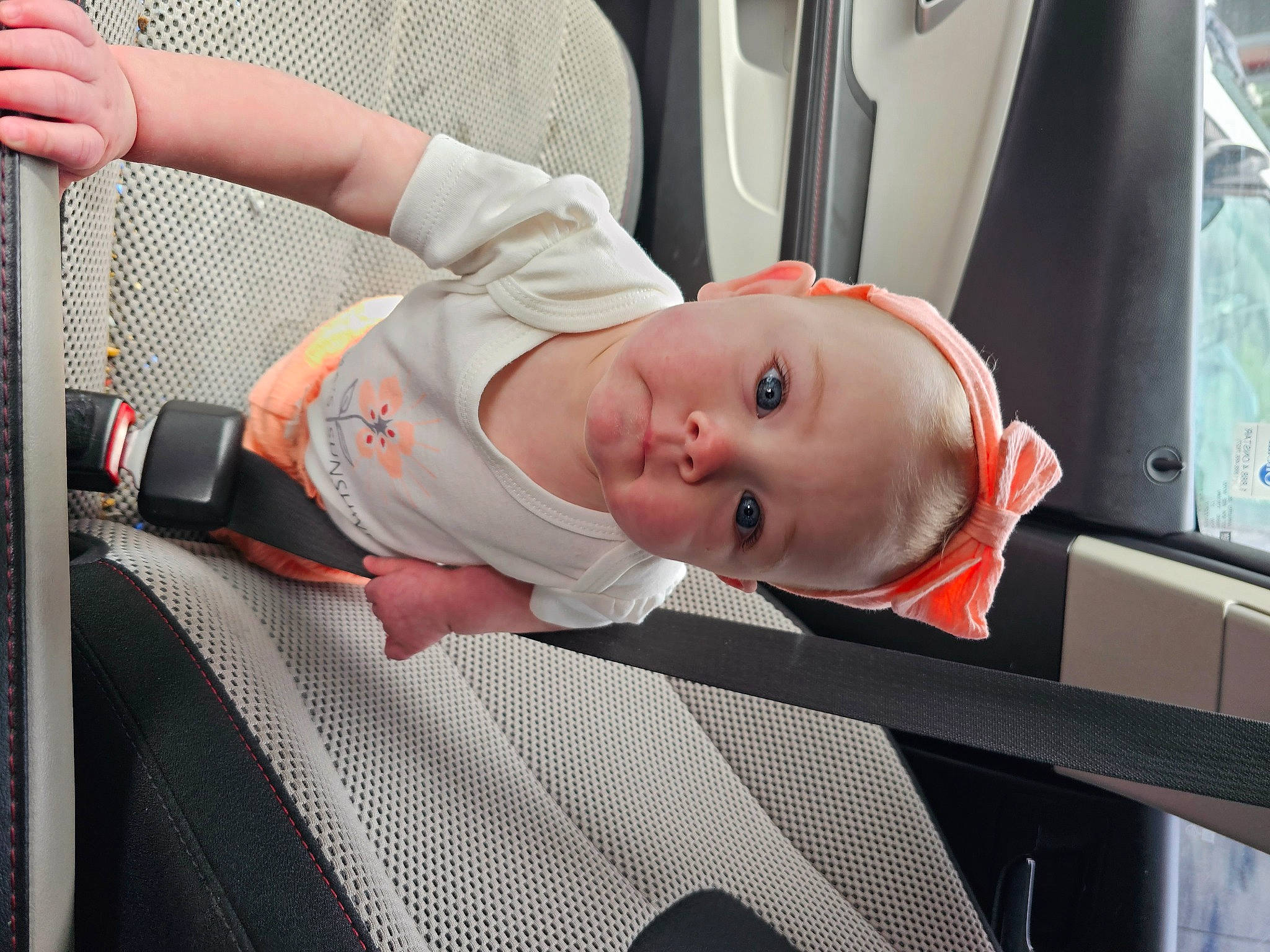 Susan is registered to the contest to win money with this photo: auto_part, automotive_design, automotive_exterior, baby, baby_carriage, baby_products, baby_safety, baby_toddler_clothing, car_seat, child, comfort, family_car, fun, luxury_vehicle, motor_vehicle, person, room, sitting, toddler, vehicle