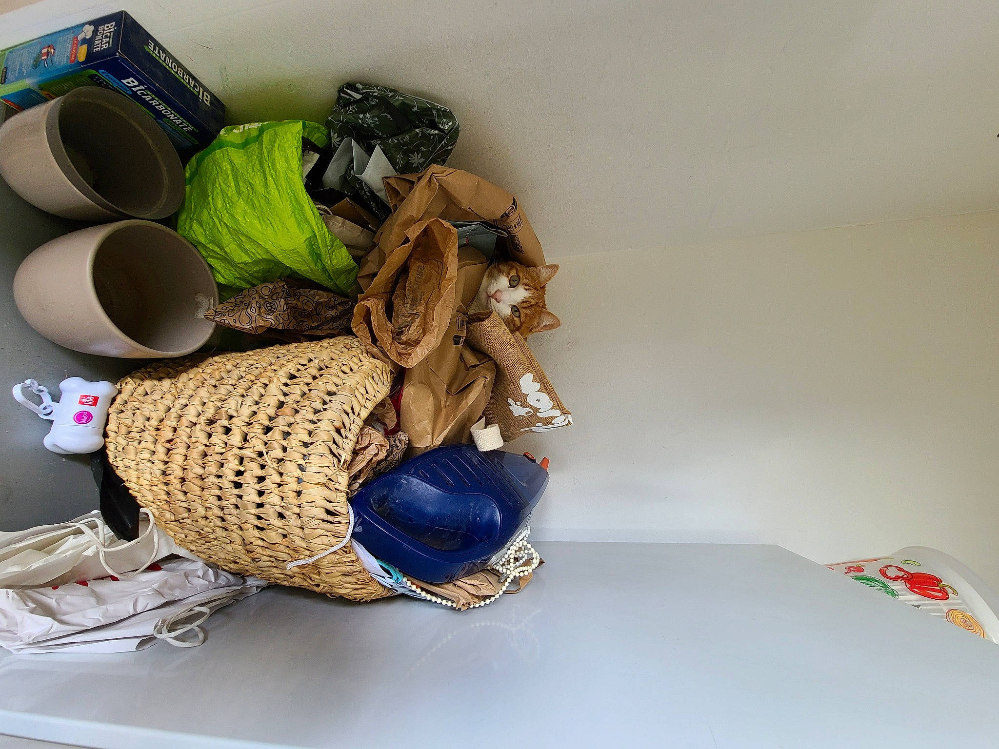 Crapouille a rejoint le concours — aidez-le/la à gagner de superbes lots ! bag, basket, circle, comfort, electric_blue, fashion_design, hat, headgear, home_appliance, laundry, laundry_supply, linens, luggage_and_bags, mechanical_fan, pattern, plastic, room, thread, visual_arts, wood