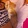 Nala joined the competition — help win amazing prizes! kitten, cat, sleeping, orange_cat, white_pillow, person, tattoo, black_top, patterned_clothing, indoor, cozy, resting, cute, pet, animal, fur, paw, relaxation, bed, cuddle