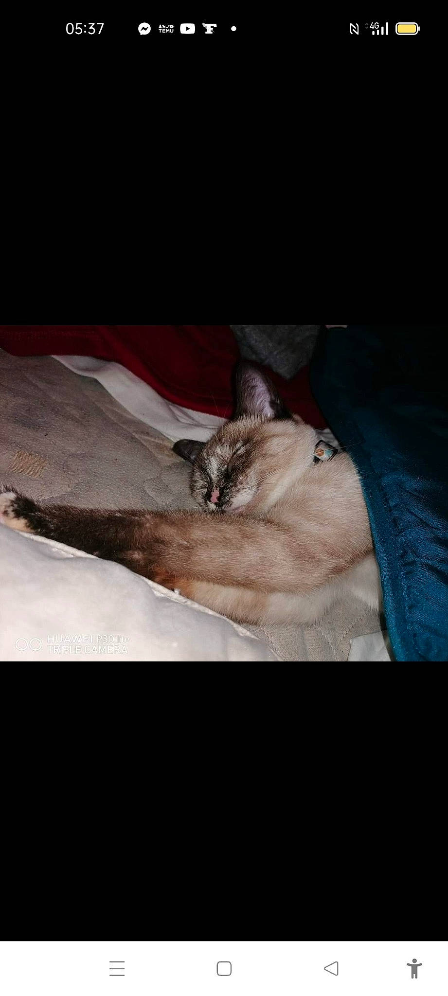 Gribouille participe au concours pour gagner de l'argent avec cette photo : carnivore, cat, claw, comfort, darkness, dog_breed, domestic_short_haired_cat, felidae, fur, human_leg, linens, nap, night, paw, photo_caption, sleep, small_to_medium_sized_cats, tail, whiskers, wood