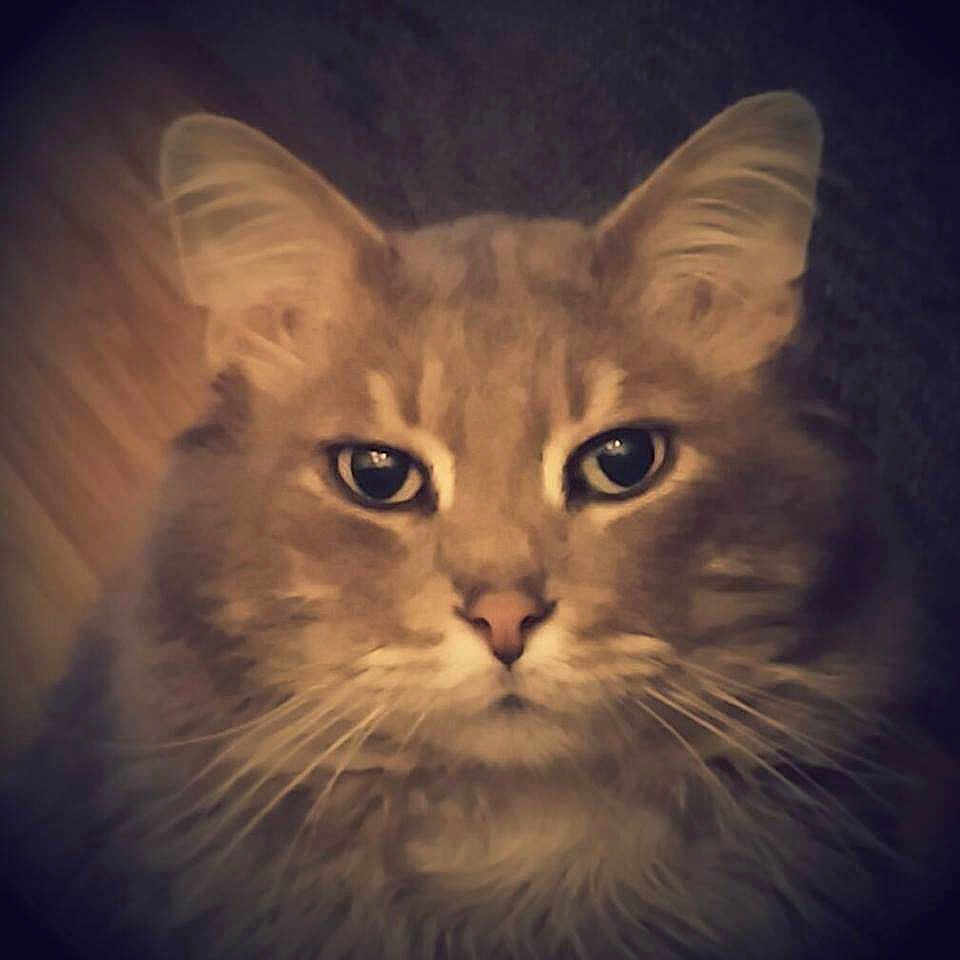 Stinky Boy