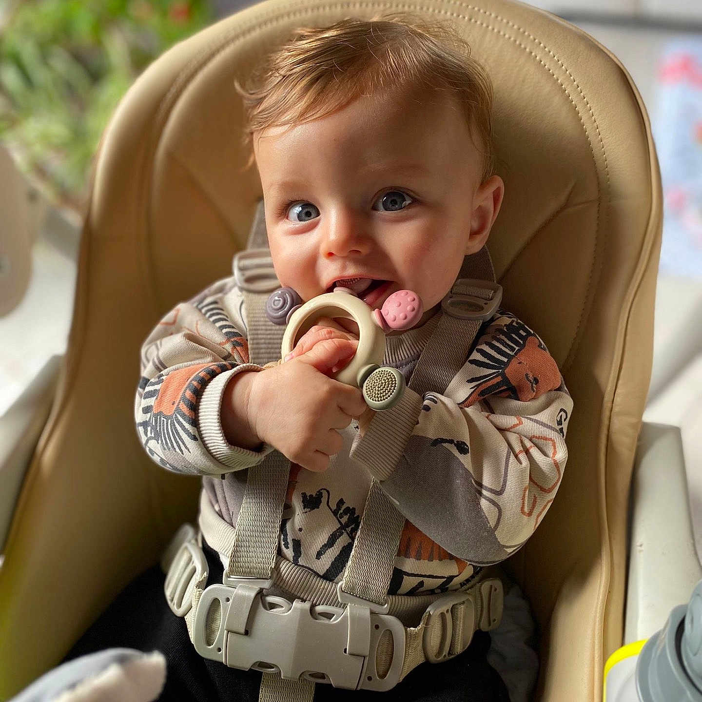 Sun participe au concours pour gagner de l'argent avec cette photo : animal_print, baby, baby_toy, blue_eyes, child, closeup, curly_hair, cute, happy, high_chair, home, indoor, infant, person, portrait, seatbelt, smiling, soft_light, sweater, teething_ring