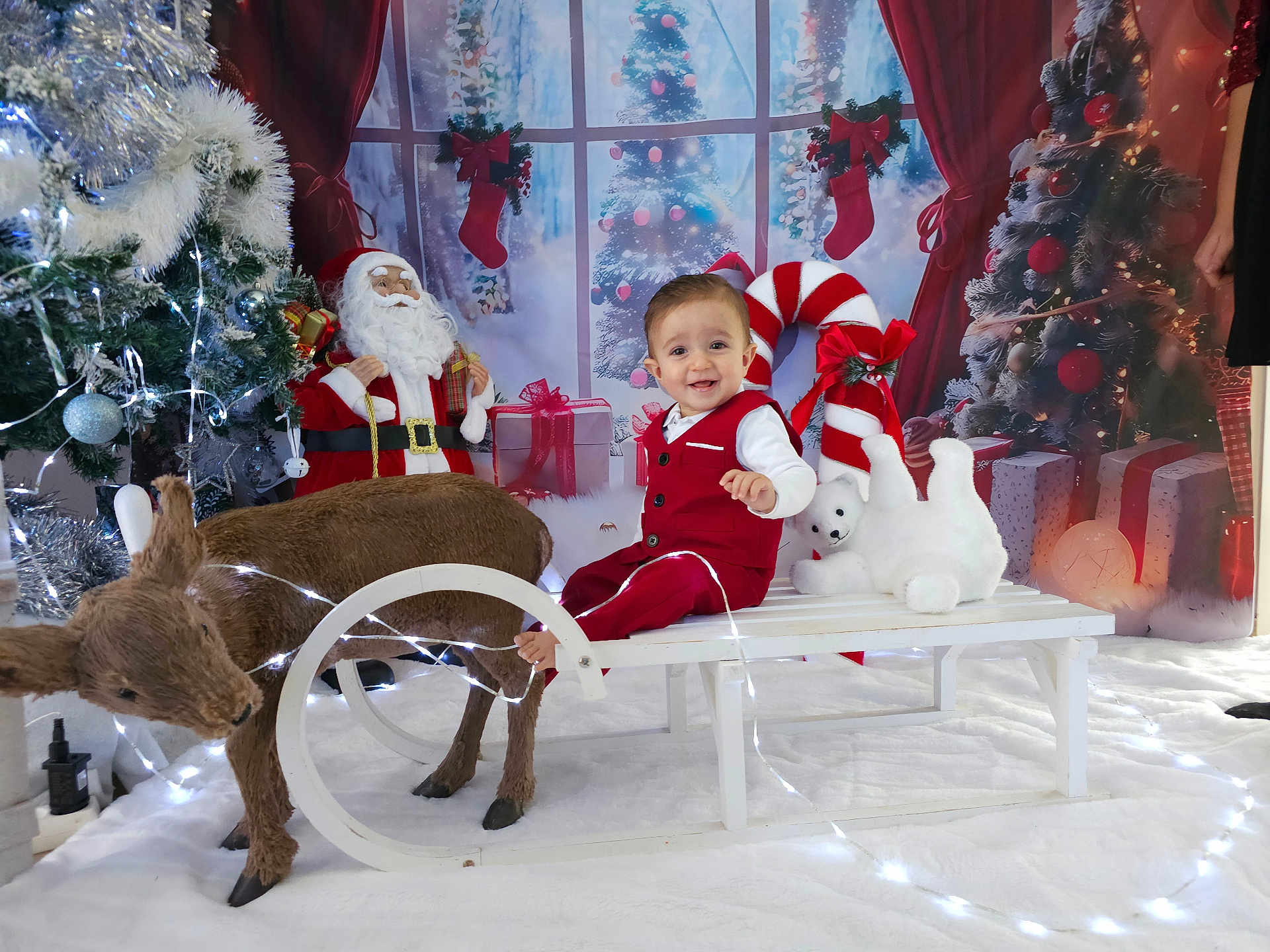 Elyas a rejoint le concours — aidez-le/la à gagner de superbes lots ! accessories, animal, baby, bag, canine, clothing, deer, dog, face, festival, handbag, hat, head, nature, outdoors, person, pet, snow, snowman, winter