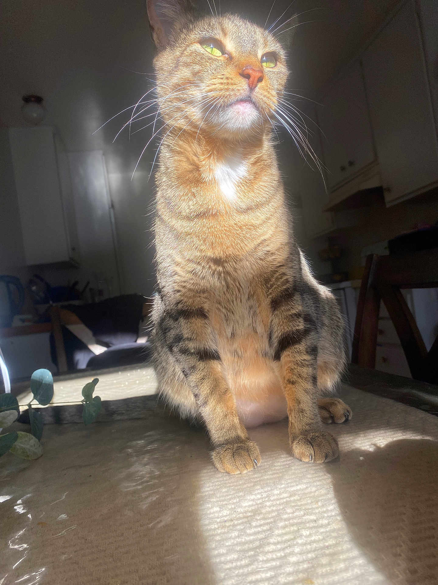 Luna