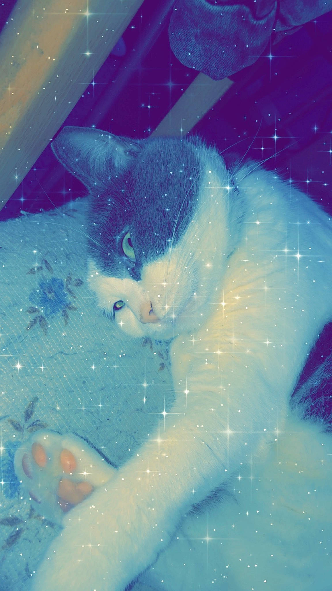 Caline participe au concours pour gagner de l'argent avec cette photo : blue, carnivore, cat, felidae, fictional_character, illustration, kitten, sky, small_to_medium_sized_cats, space, tail, water, whiskers