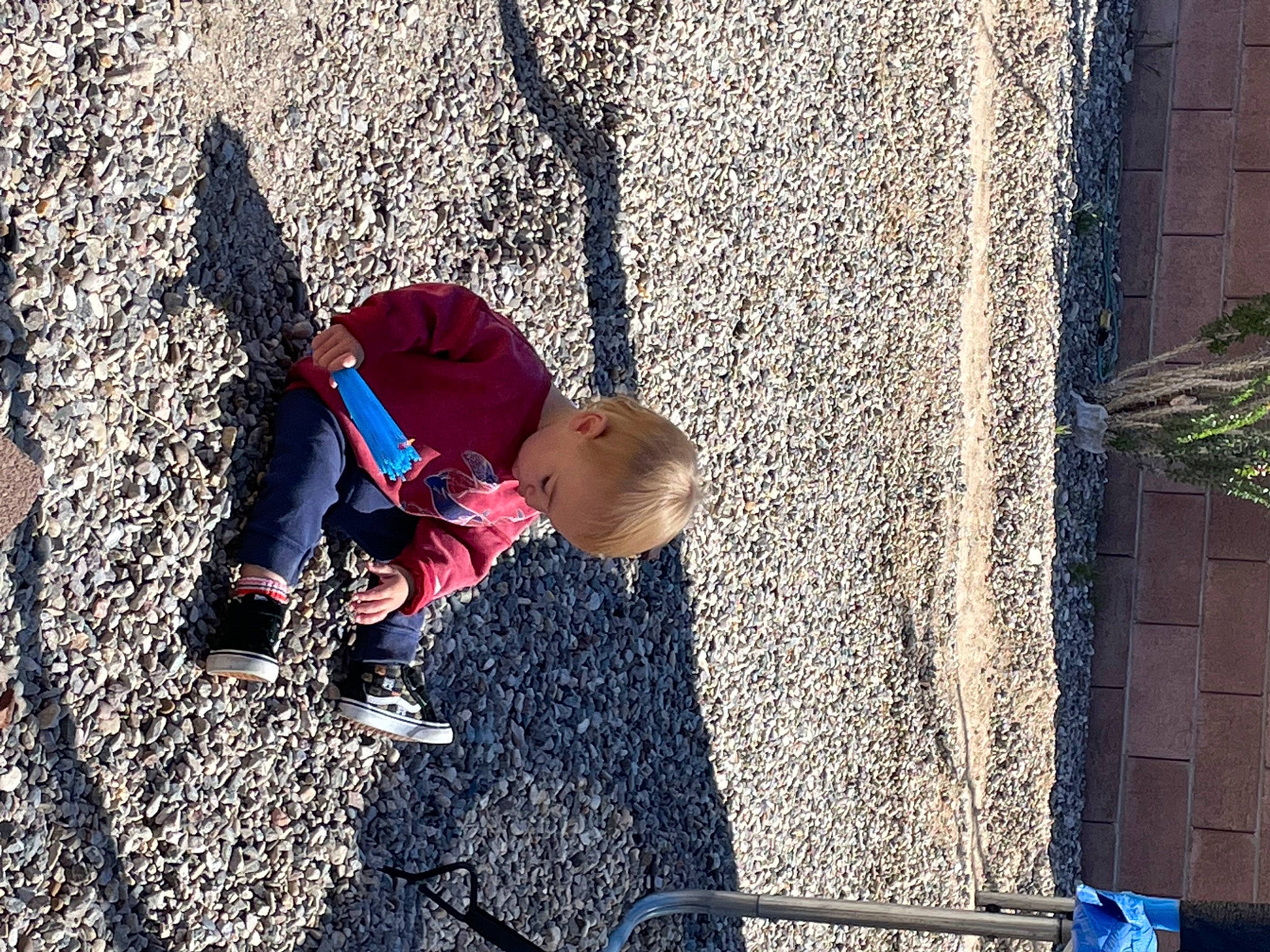 Cassius is registered to the contest to win money with this photo: asphalt, child, city, concrete, electric_blue, fun, grass, leisure, people_in_nature, person, plant, play, public_space, recreation, road_surface, shadow, sidewalk, soil, toddler, tree