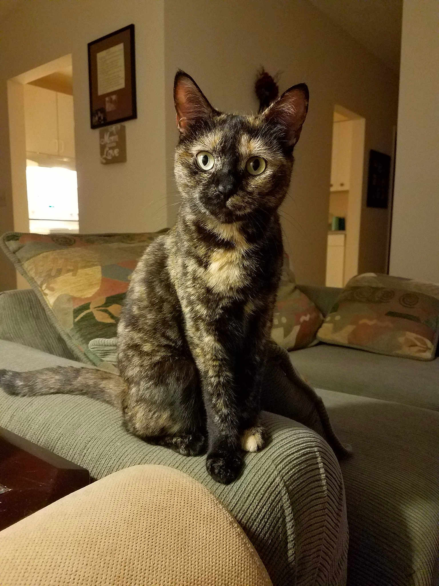 Mama