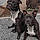 Lola Et Daisy