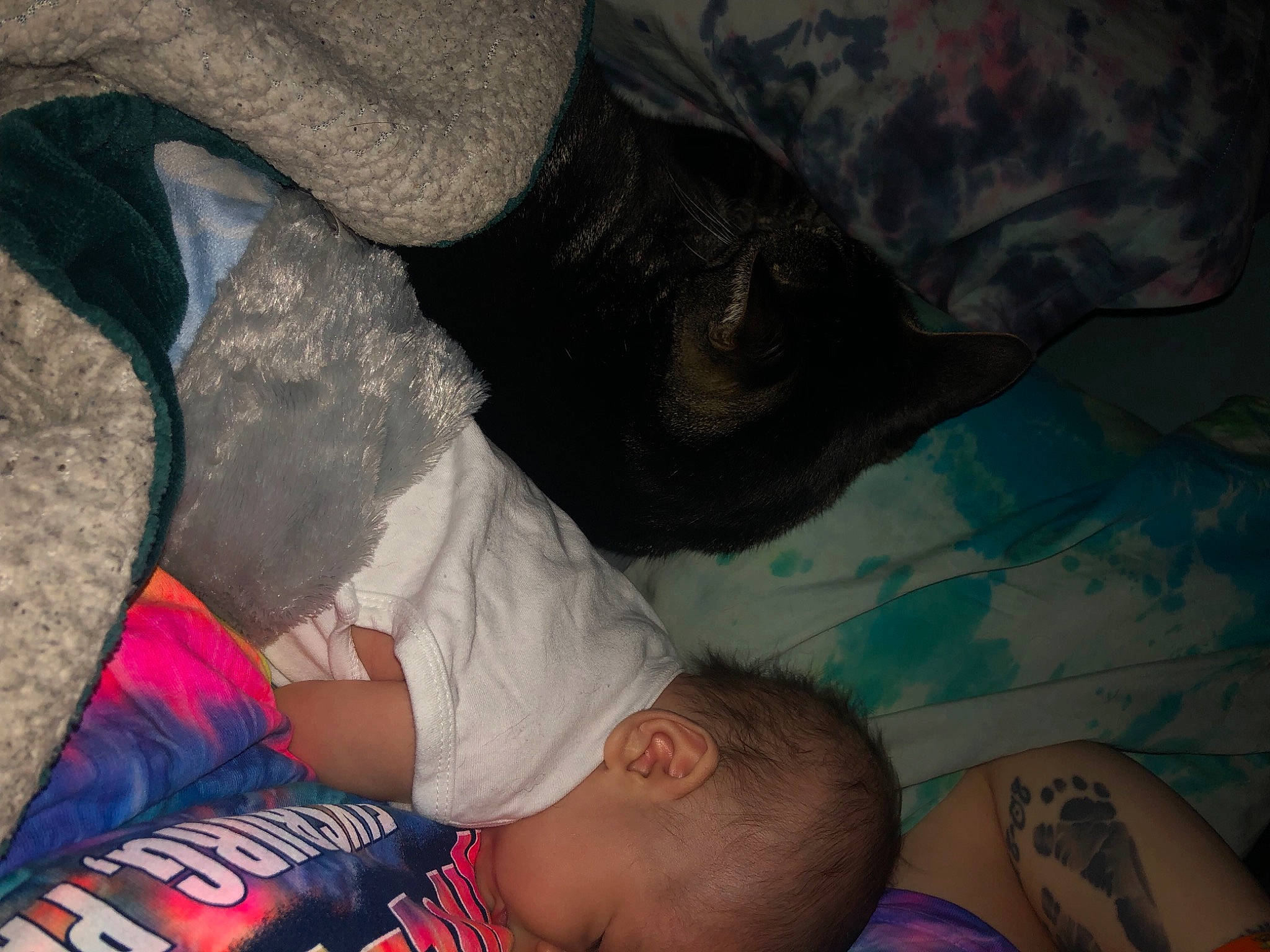 Maxwell is registered to the contest to win money with this photo: baby, comfort, companion_dog, dog_breed, elbow, finger, flesh, foot, fun, gesture, human_leg, knee, linens, mammal, nail, person, textile, thigh, toddler, vertebrate